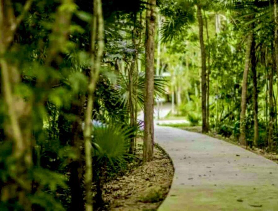 Casa Kaan, Senderos, Mayakoba Villa